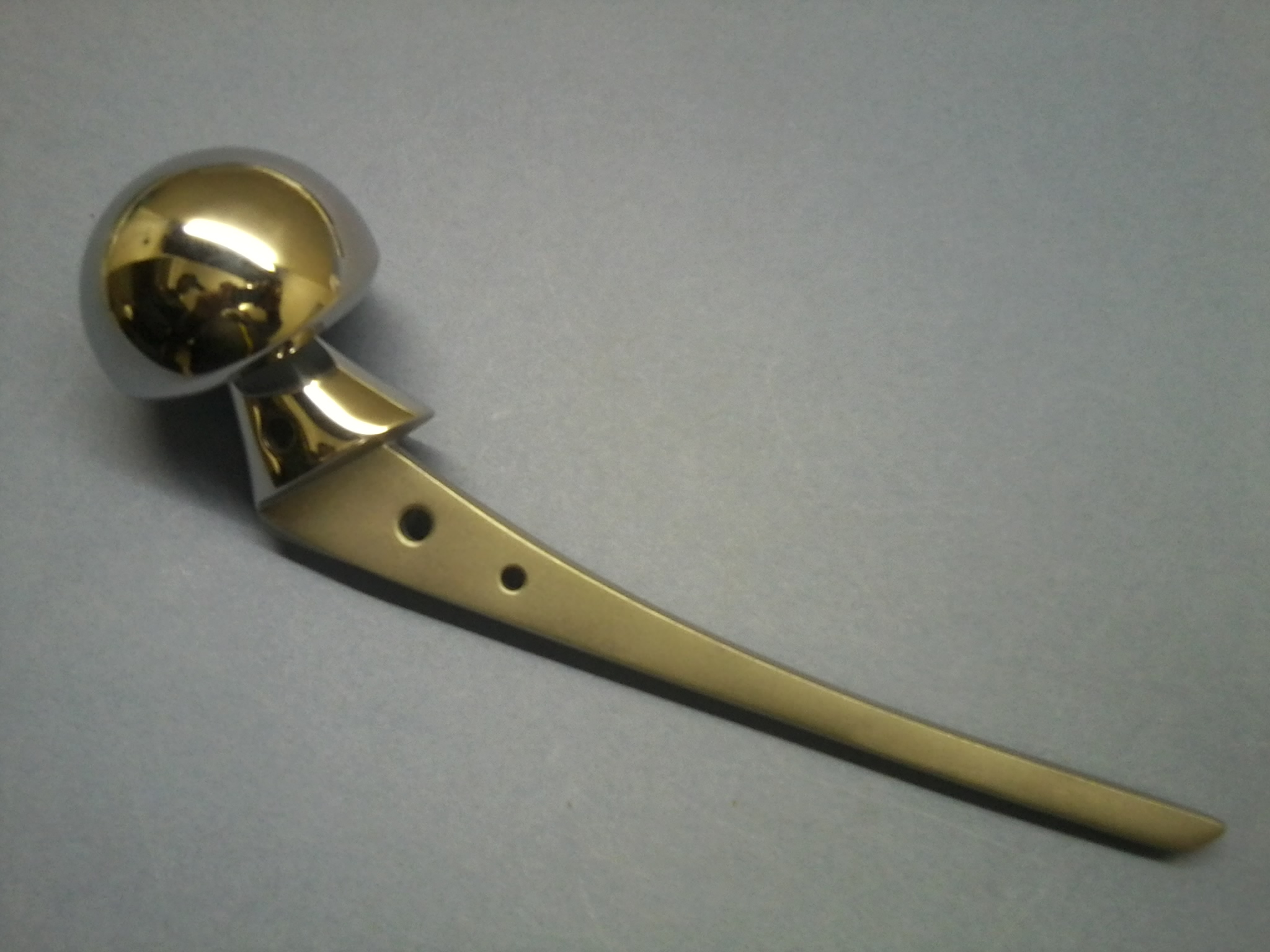 Manufacturers of Austin Moore Hip Prosthesis Delhi